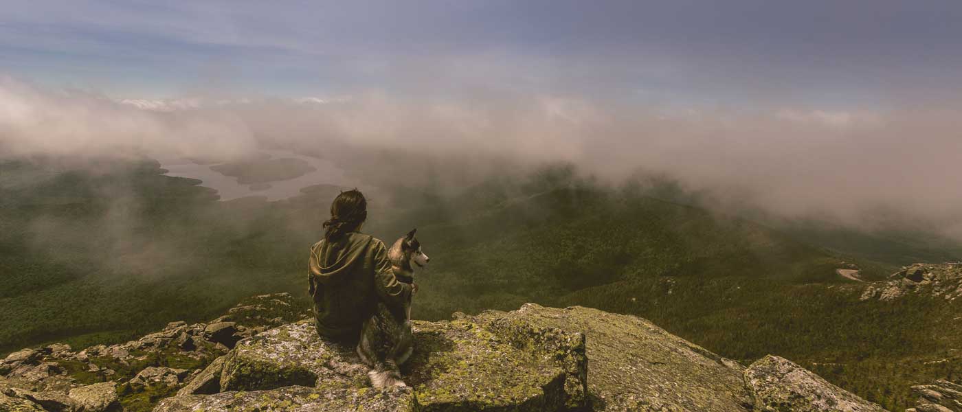 Read more about the article Your Companion in every step